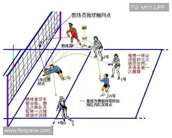 从零开始掌握排球技巧与战术全面指南助你成为排球高手